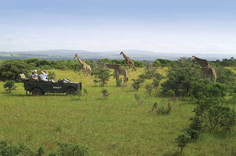 Kariega Game Reserve Bushman's River Mouth Exteriér fotografie